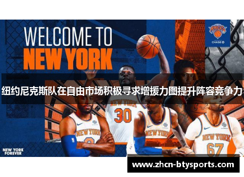 纽约尼克斯队在自由市场积极寻求增援力图提升阵容竞争力