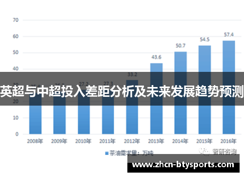 英超与中超投入差距分析及未来发展趋势预测