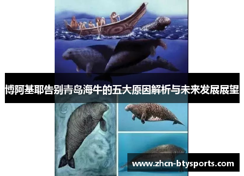博阿基耶告别青岛海牛的五大原因解析与未来发展展望