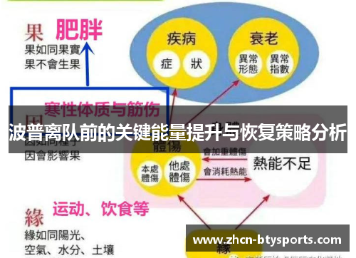 波普离队前的关键能量提升与恢复策略分析