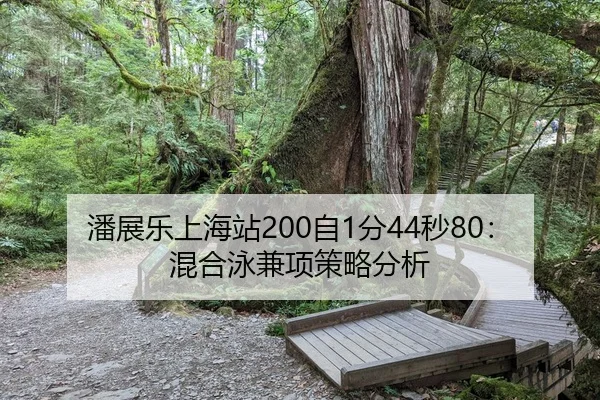 潘展乐上海站200自1分44秒80：混合泳兼项策略分析