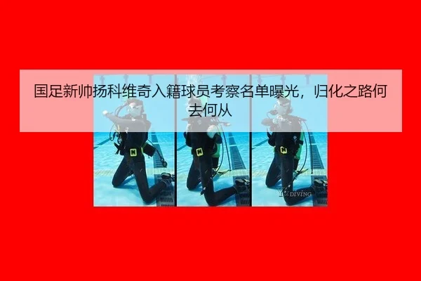 国足新帅扬科维奇入籍球员考察名单曝光，归化之路何去何从